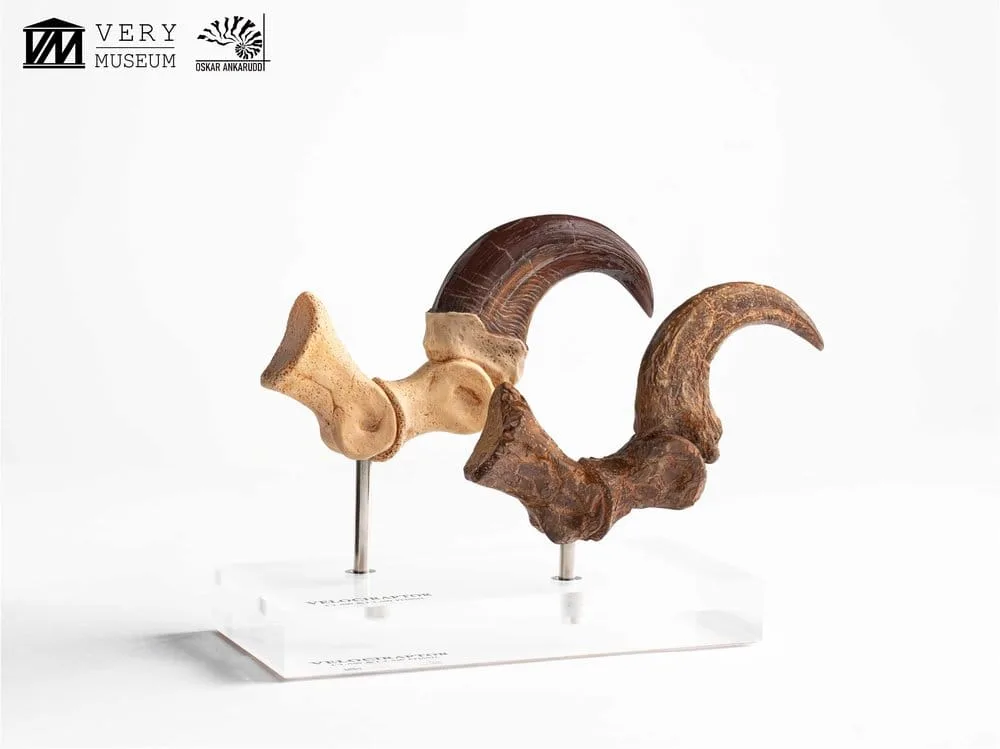Jurassic Park Statue Set – Velociraptor Claws 20 cm 12