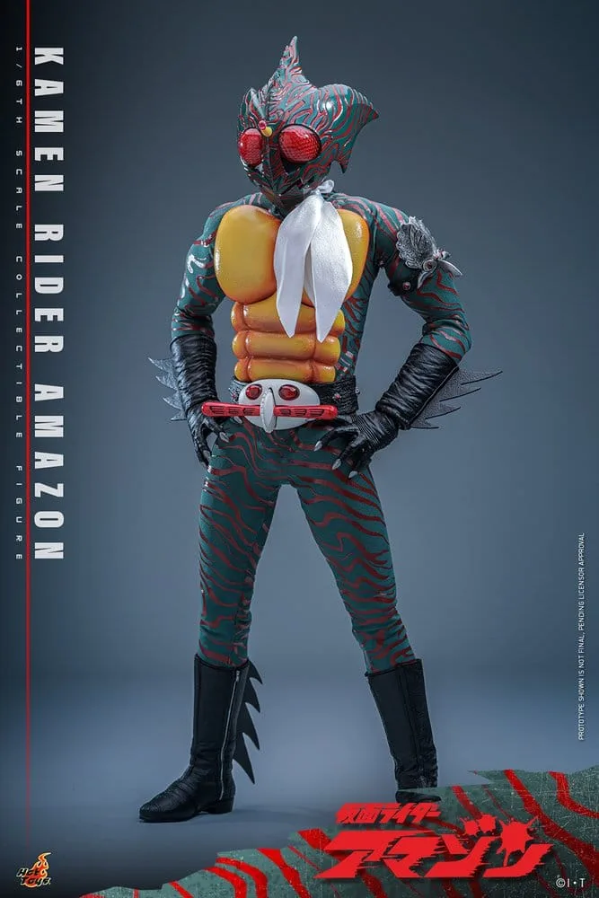 Kamen Rider Action Figure – Amazon 1/6 Scale 30 cm 18