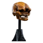 Lord of the Rings Mini Statue – Misty Mountain Goblin Skull 14 cm 4