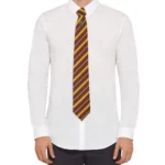 Harry Potter Tie and Pin Set – Gryffindor Deluxe Box 2