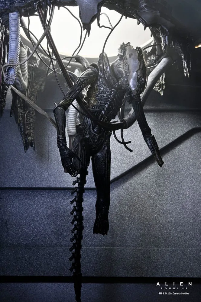 Alien: Romulus Actionfigur – Labor-Xenomorph XX121 18 cm 11