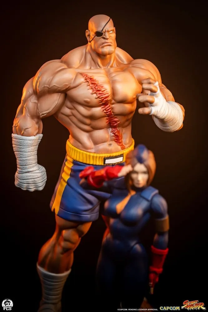 Street Fighter Statue Set – Street Jam Sagat and Juli 1/10 24 cm 13
