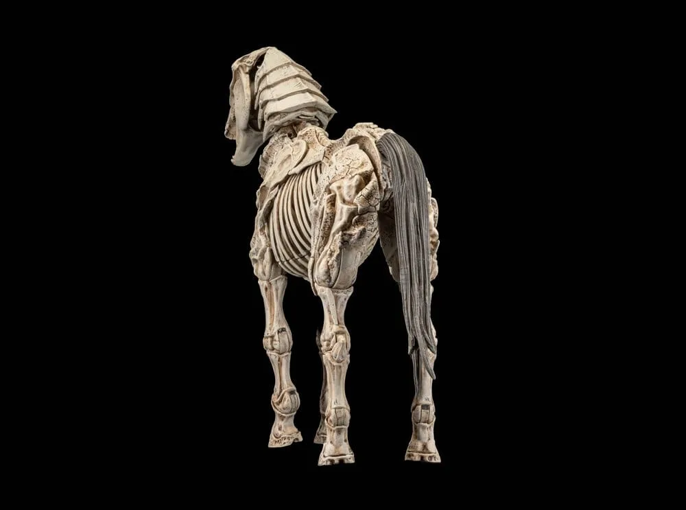 Mythic Legions Actiefiguur – Skeleton Steed Legion Builder 3