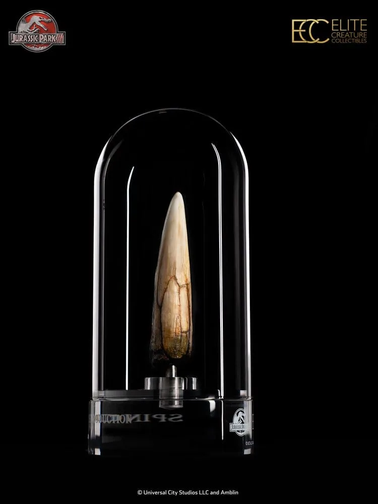 Jurassic Park III Prop Replica – Spinosaurus Tooth 14 cm 5