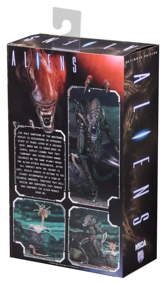 Aliens Action Figure – Ultimate Brown Warrior 23 cm 9