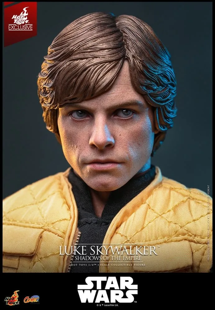 Star Wars Action Figure – Luke Skywalker Hot Toys Exclusive 28 cm 17