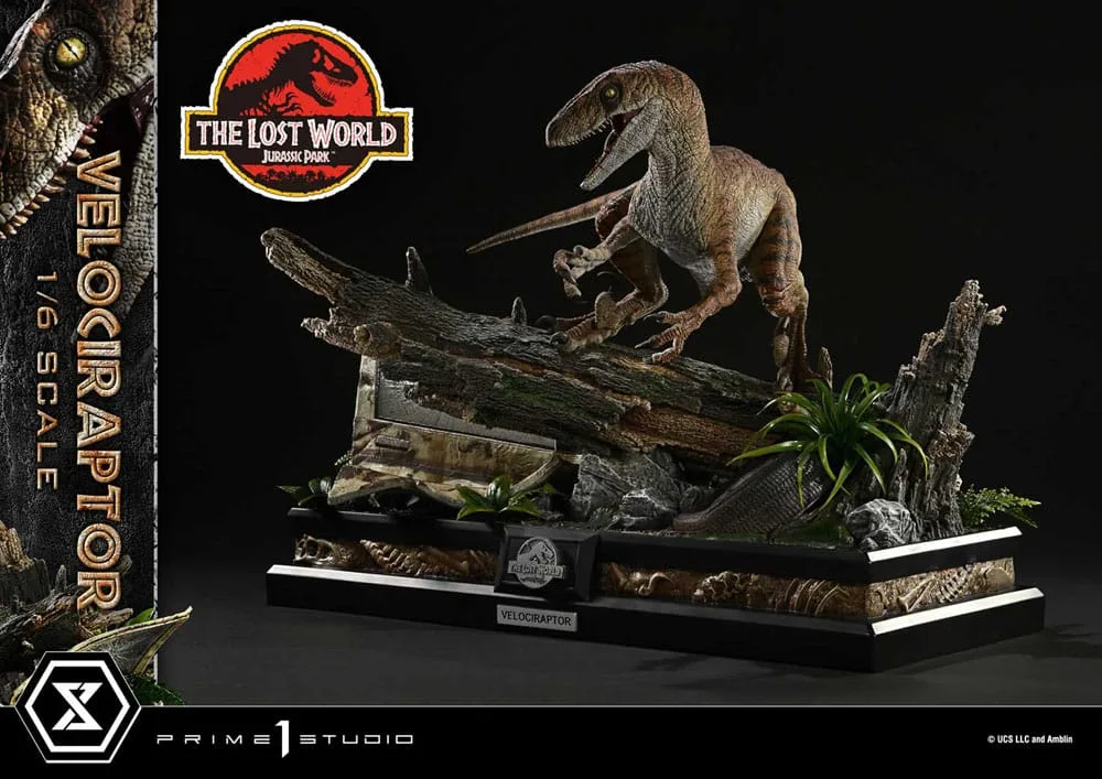 Jurassic Park II beeld – Tiger Stripe Velociraptor 1/6 41 cm 9