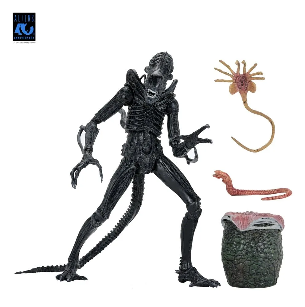 Aliens Action Figure – Black Xenomorph Warrior 23 cm 19
