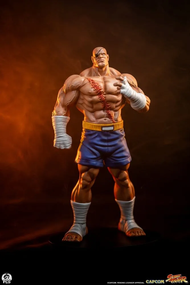 Street Fighter Statue Set – Street Jam Sagat and Juli 1/10 24 cm 24
