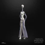 Star Wars Black Series Action Figure – Taun We 15 cm 15