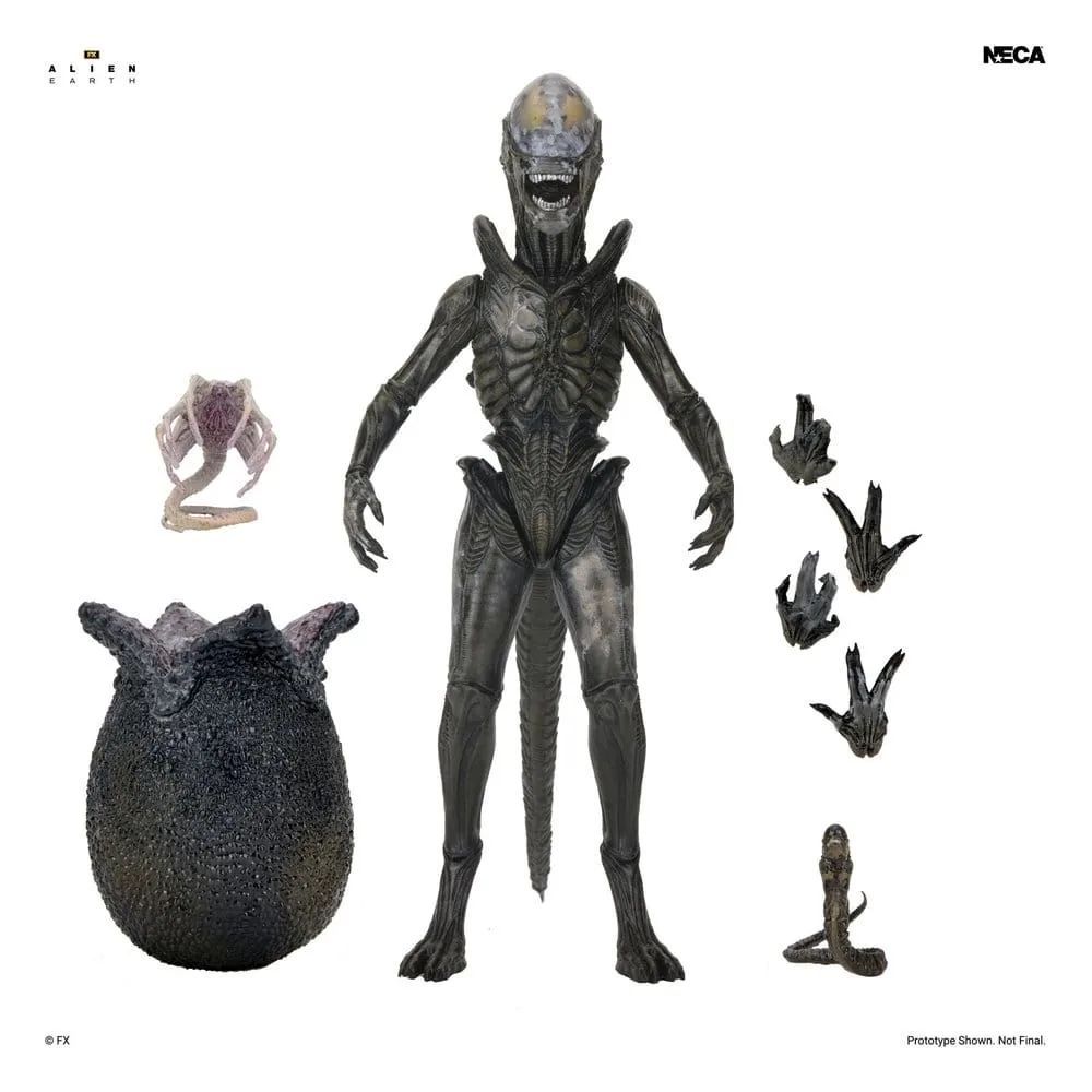 Alien Earth Action Figure – Ultimate Wendy’s Xenomorph 18 cm 2