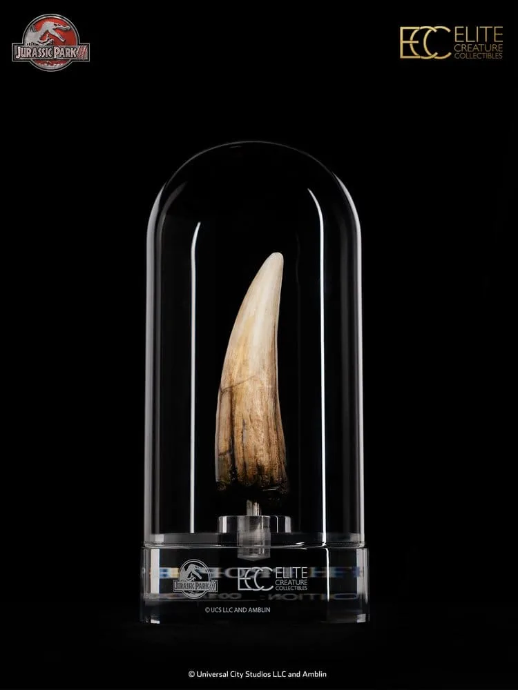Jurassic Park III Prop Replica – Spinosaurus Tooth 14 cm 2