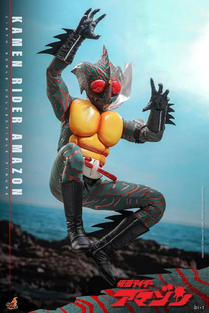Kamen Rider Action Figure – Amazon 1/6 Scale 30 cm 11