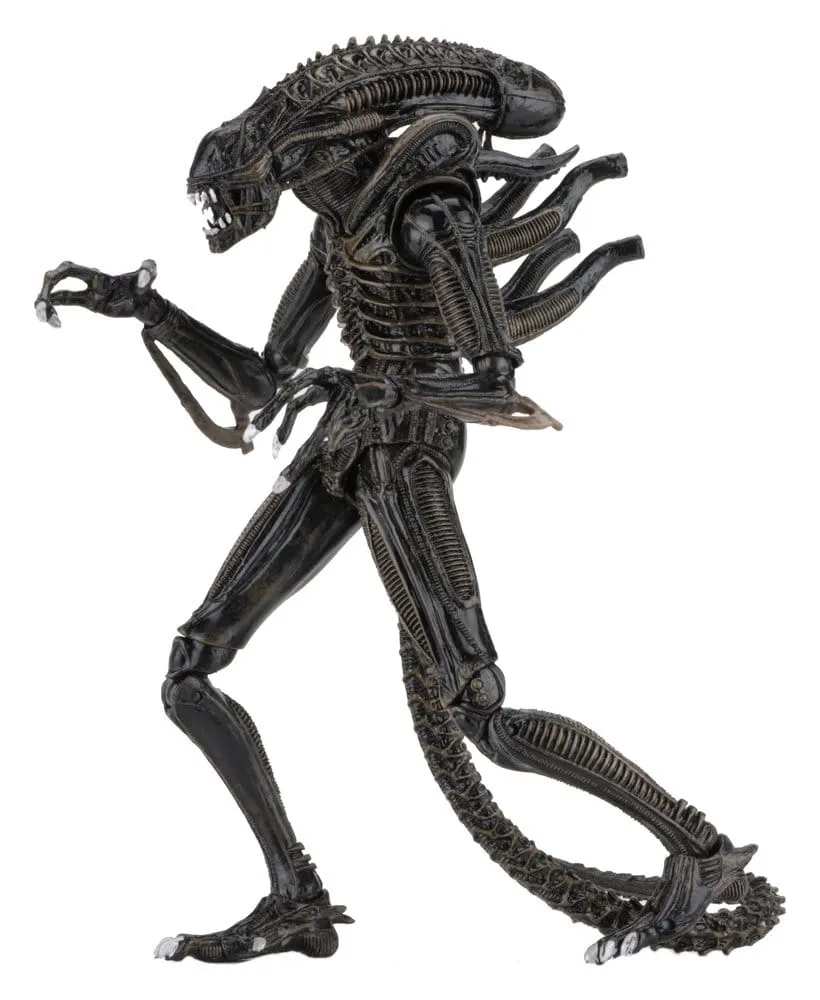 Aliens Action Figure – Ultimate Brown Warrior 23 cm 2