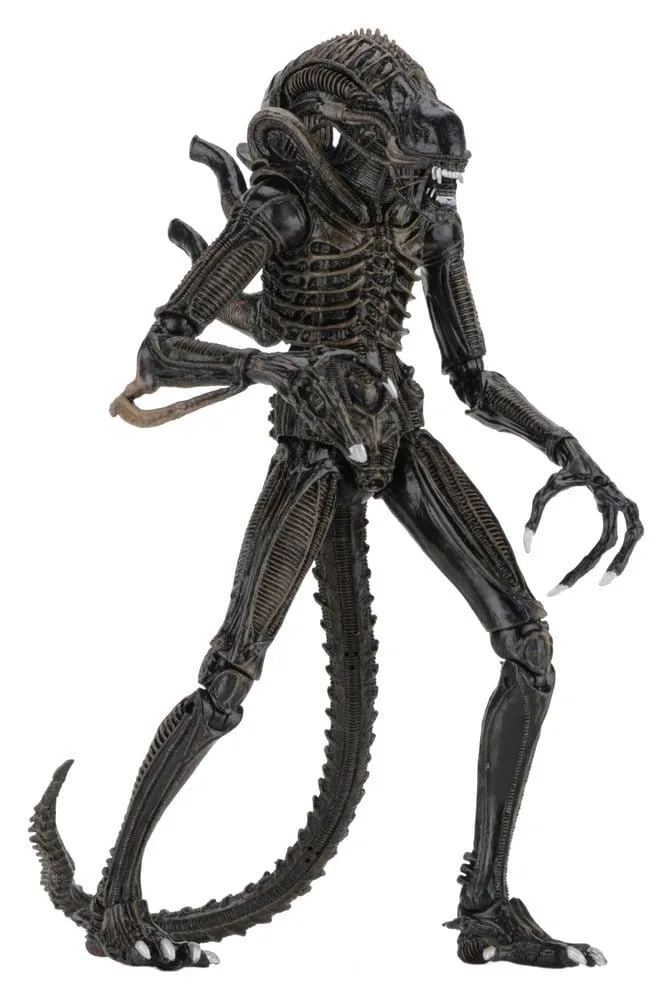 Aliens Action Figure – Ultimate Brown Warrior 23 cm 3