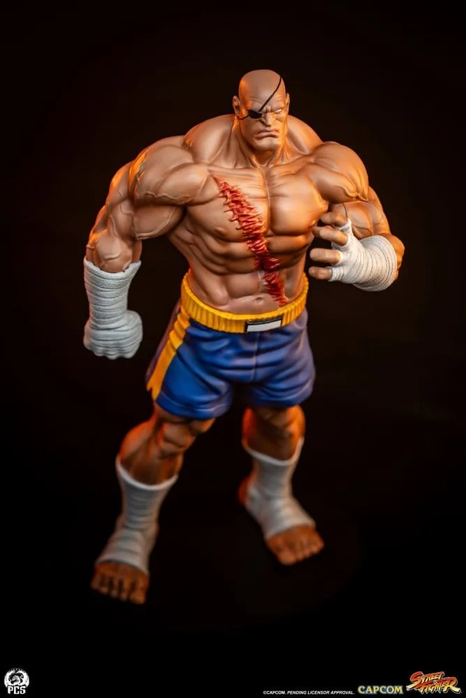 Street Fighter Statue Set – Street Jam Sagat and Juli 1/10 24 cm 10