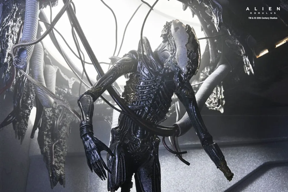 Alien: Romulus Actionfigur – Labor-Xenomorph XX121 18 cm 13