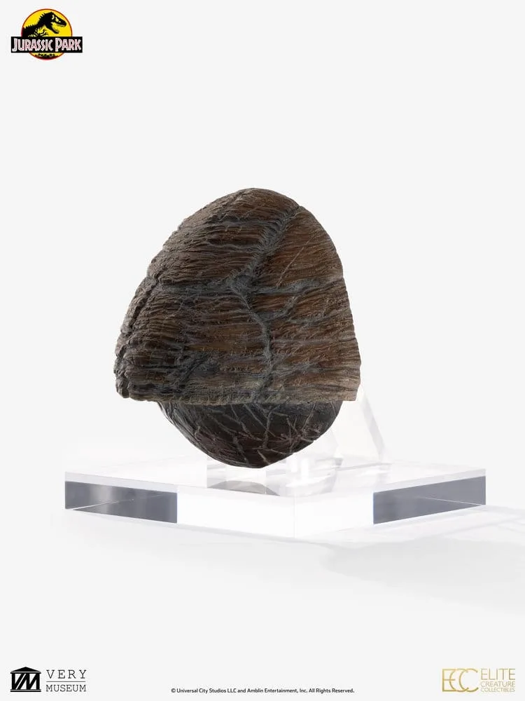 Jurassic Park Replica – Triceratops Toenail 1/1 16 cm 3