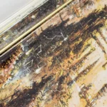 Warhammer 40,000 Storage Box – Emperor on His Throne 2